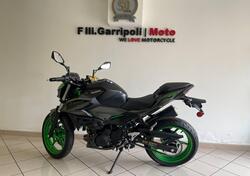 Kawasaki Z 500 SE (2024 - 25) nuova