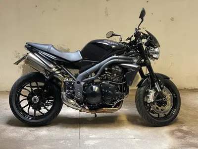 Triumph Speed Triple 1050 (2005 - 11) usata