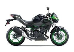 Kawasaki Z 500 SE (2024 - 25) nuova