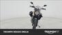 Ducati Scrambler 800 Desert Sled (2017 - 20) (6)