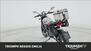 Ducati Scrambler 800 Urban Motard (2022) (8)