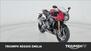 Triumph Speed Triple 1200 RR (2022 - 24) (7)