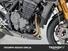 Triumph Speed Triple 1200 RR (2022 - 24) (16)