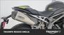 Triumph Speed Triple 1050 RS (2018 - 20) (16)