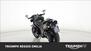 Triumph Speed Triple 1050 RS (2018 - 20) (6)