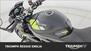 Triumph Speed Triple 1050 RS (2018 - 20) (17)