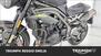 Triumph Speed Triple 1050 RS (2018 - 20) (18)