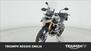 Triumph Tiger 900 Rally Pro (2020 - 23) (6)