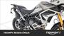 Triumph Tiger 900 Rally Pro (2020 - 23) (23)