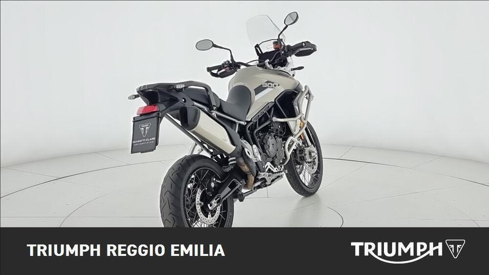 Triumph Tiger 900 Rally Pro (2020 - 23) (3)