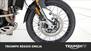 Triumph Tiger 900 Rally Pro (2020 - 23) (18)