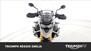 Triumph Tiger 900 Rally Pro (2020 - 23) (25)