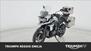 Triumph Tiger 1200 Alpine Edition (2020) (6)