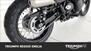 Triumph Scrambler 900 (2023 - 24) (16)