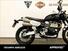 Triumph Scrambler 1200 XC (2019 - 20) (13)