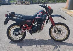 Yamaha XT 600 (1984 - 98) usata