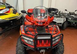 Arctic Cat 650 H1 usata