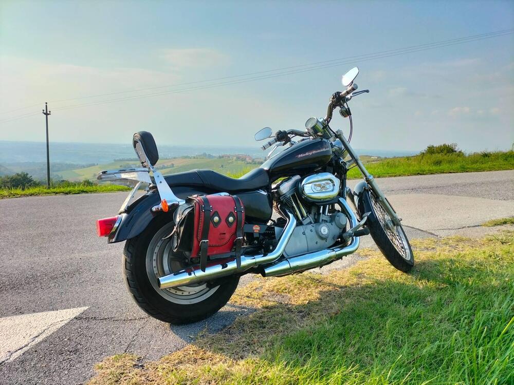 Harley-Davidson 883 Custom (2001 - 05) - XL 53C (5)