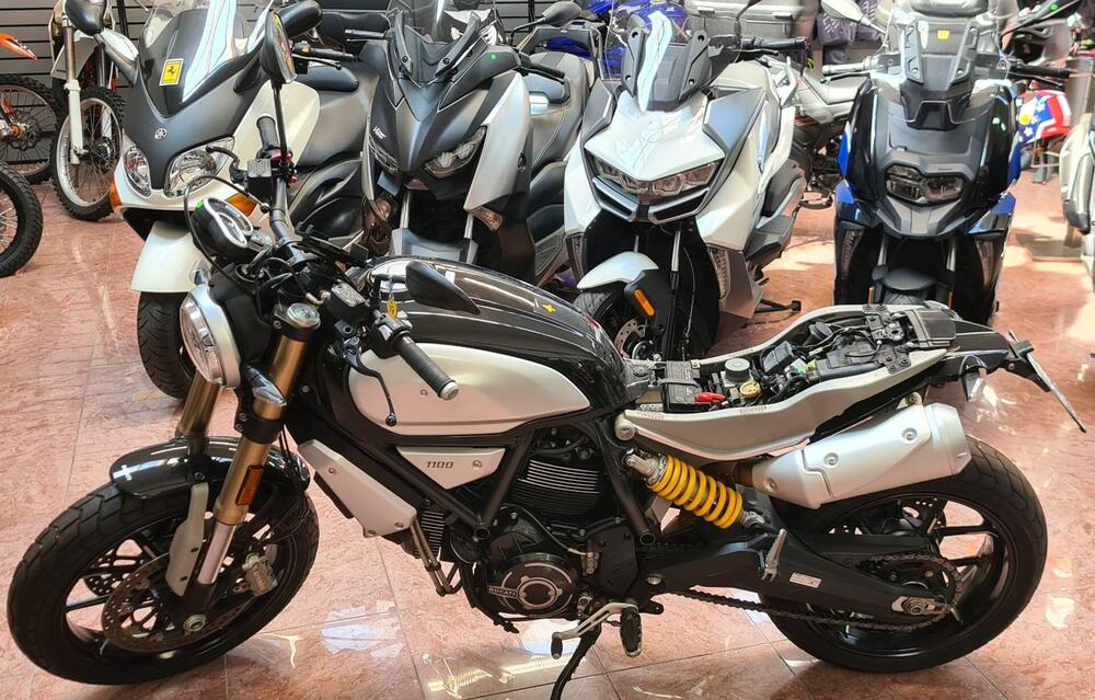 Ducati Scrambler 1100 (2018 - 20) (3)