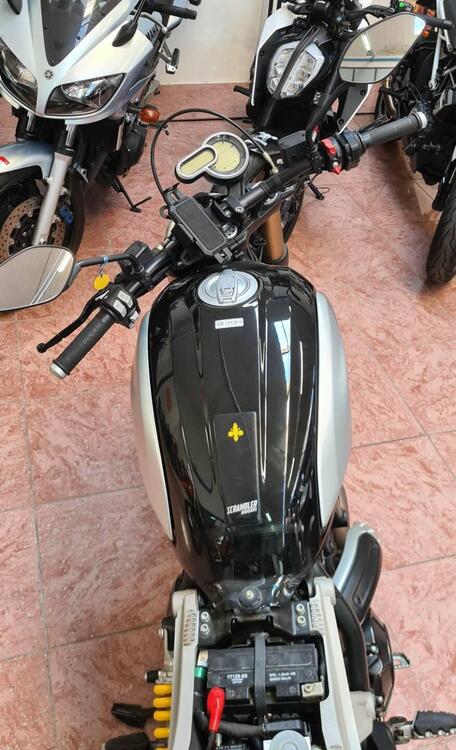 Ducati Scrambler 1100 (2018 - 20) (4)