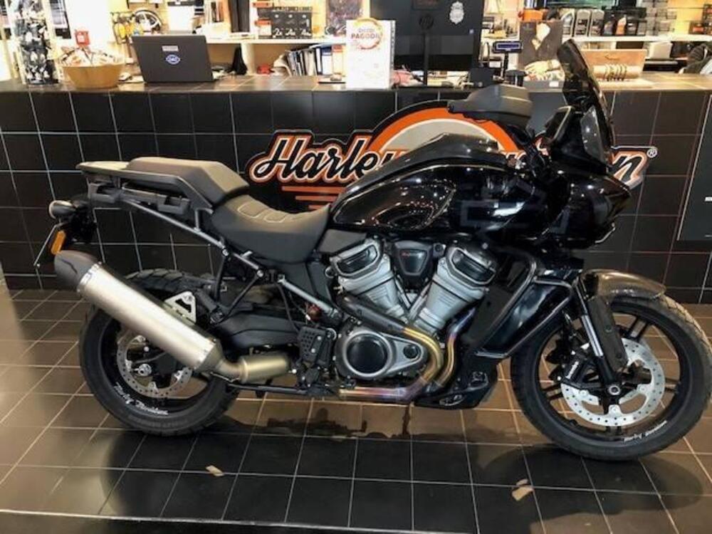 Harley-Davidson Pan America 1250 Special (2020 - 24)