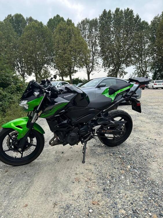 Kawasaki Z 400 (2019 - 20) (2)