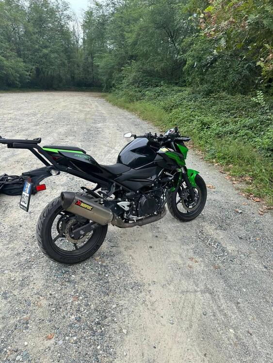 Kawasaki Z 400 (2019 - 20) (3)