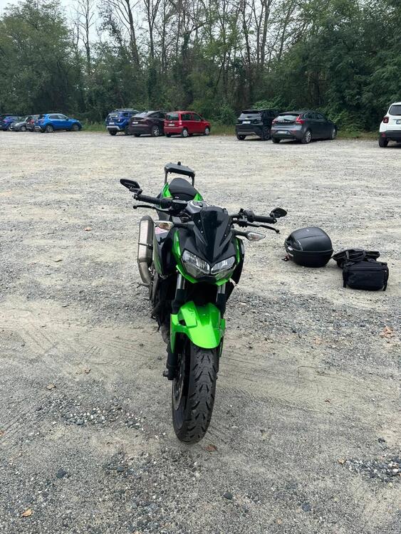 Kawasaki Z 400 (2019 - 20) (4)