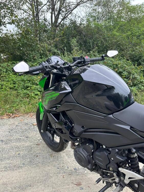 Kawasaki Z 400 (2019 - 20) (5)