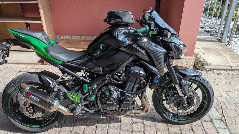 Kawasaki Z 900 Performance (2019)