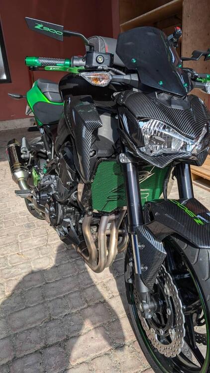 Kawasaki Z 900 Performance (2019) (2)