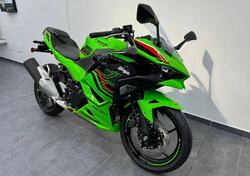 Kawasaki Ninja 500 SE (2024 - 25) nuova