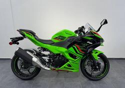 Kawasaki Ninja 500 SE (2024 - 25) nuova