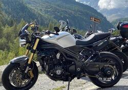 Triumph Speed Triple 1050 (2005 - 11) usata