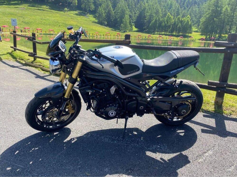 Triumph Speed Triple 1050 (2005 - 11) (3)