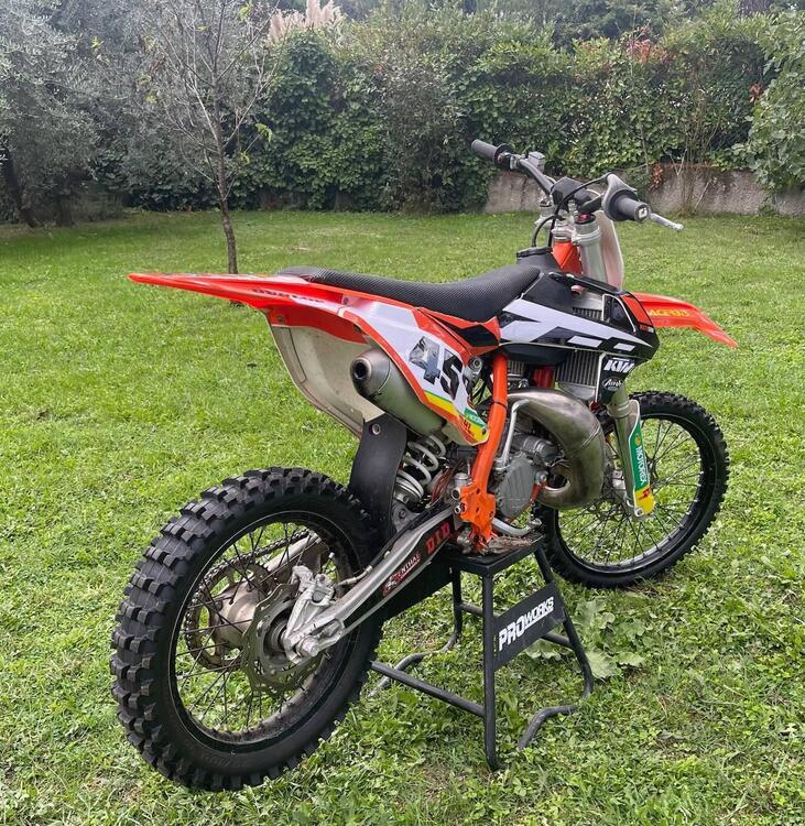 KTM SX 85 (2019) (5)