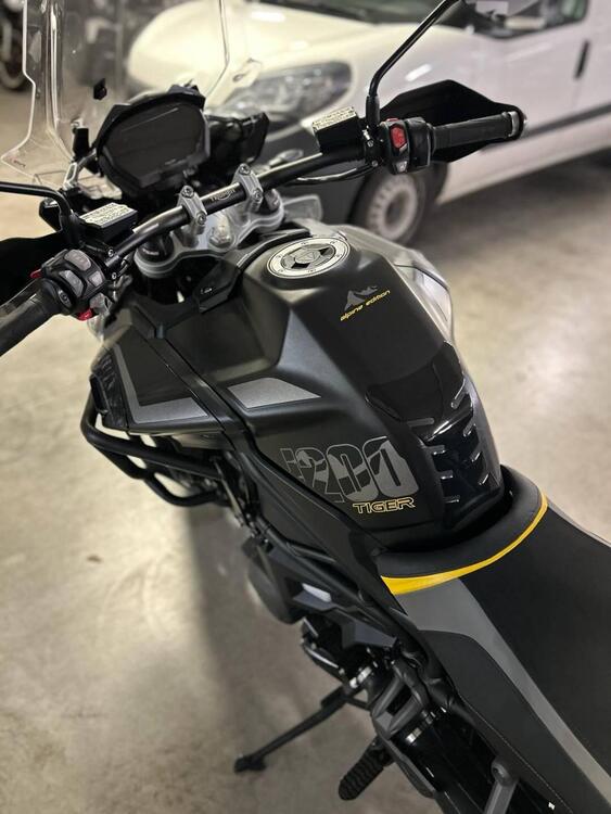 Triumph Tiger 1200 Alpine Edition (2020) (4)