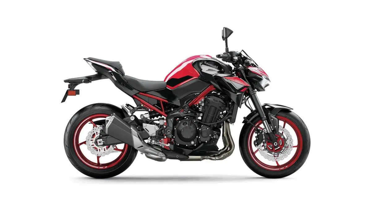 Kawasaki Z 900 Z 900 A2 (2021 - 24) (5)