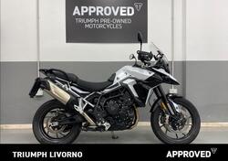 Triumph Tiger 900 GT Pro (2024) usata