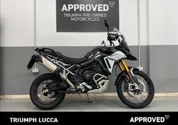 Triumph Tiger 900 Rally Pro (2024) usata