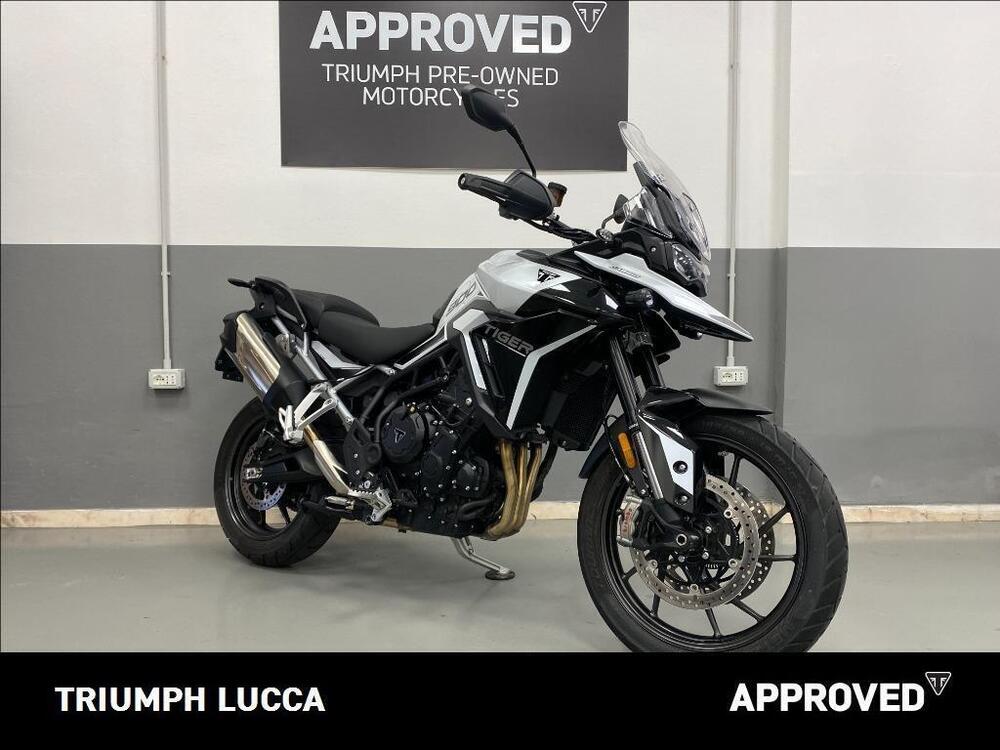 Triumph Tiger 900 GT Pro (2024) (2)