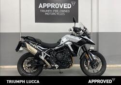 Triumph Tiger 900 GT Pro (2024) usata