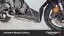 Triumph Daytona 660 (2024) (19)