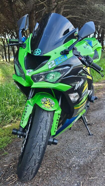 Kawasaki Ninja 636 ZX-6R (2019 - 20) (2)