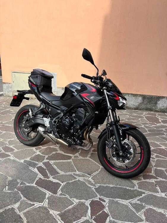 Kawasaki Z 650 Urban (2021 - 24) (2)