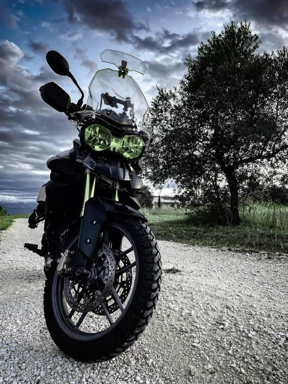 Triumph Tiger 800 ABS (2010 - 14)