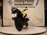 Bmw R 1150 R (2000 - 07) (9)