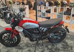 Ducati Scrambler 800 Icon (2023 - 24) usata