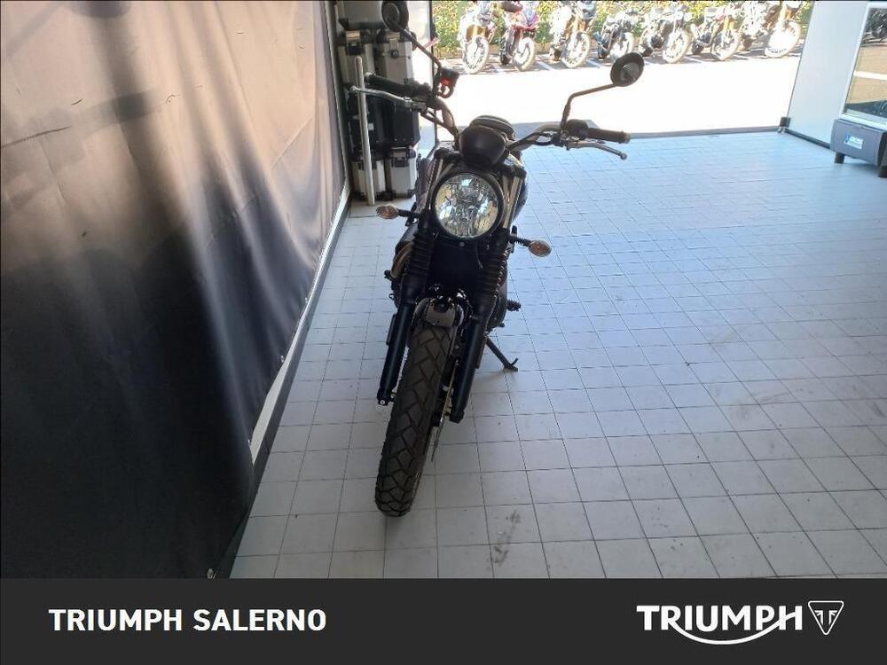 Triumph Scrambler 900 Stealth Edition (2024) (4)