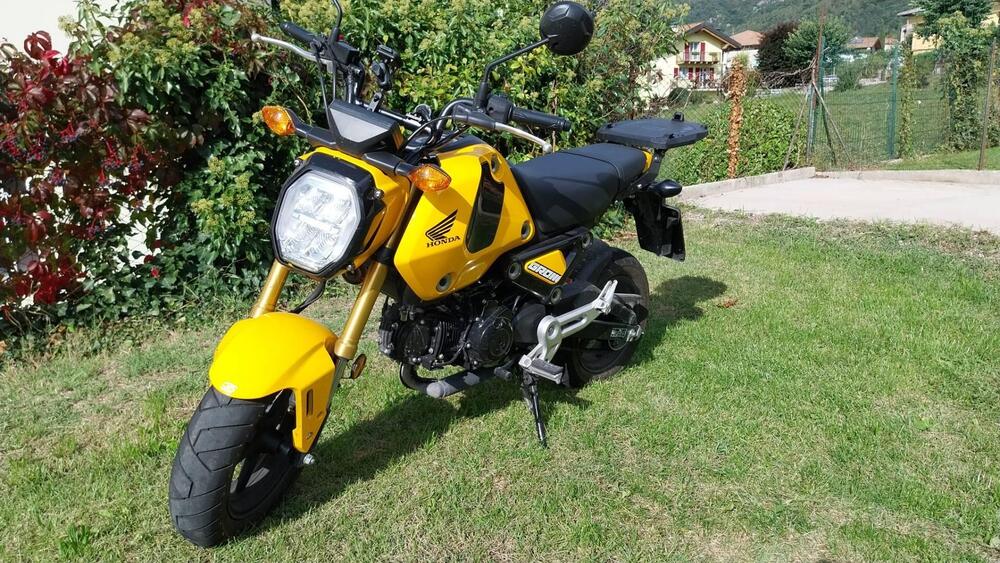 Honda MSX 125 Grom (2021 - 24)